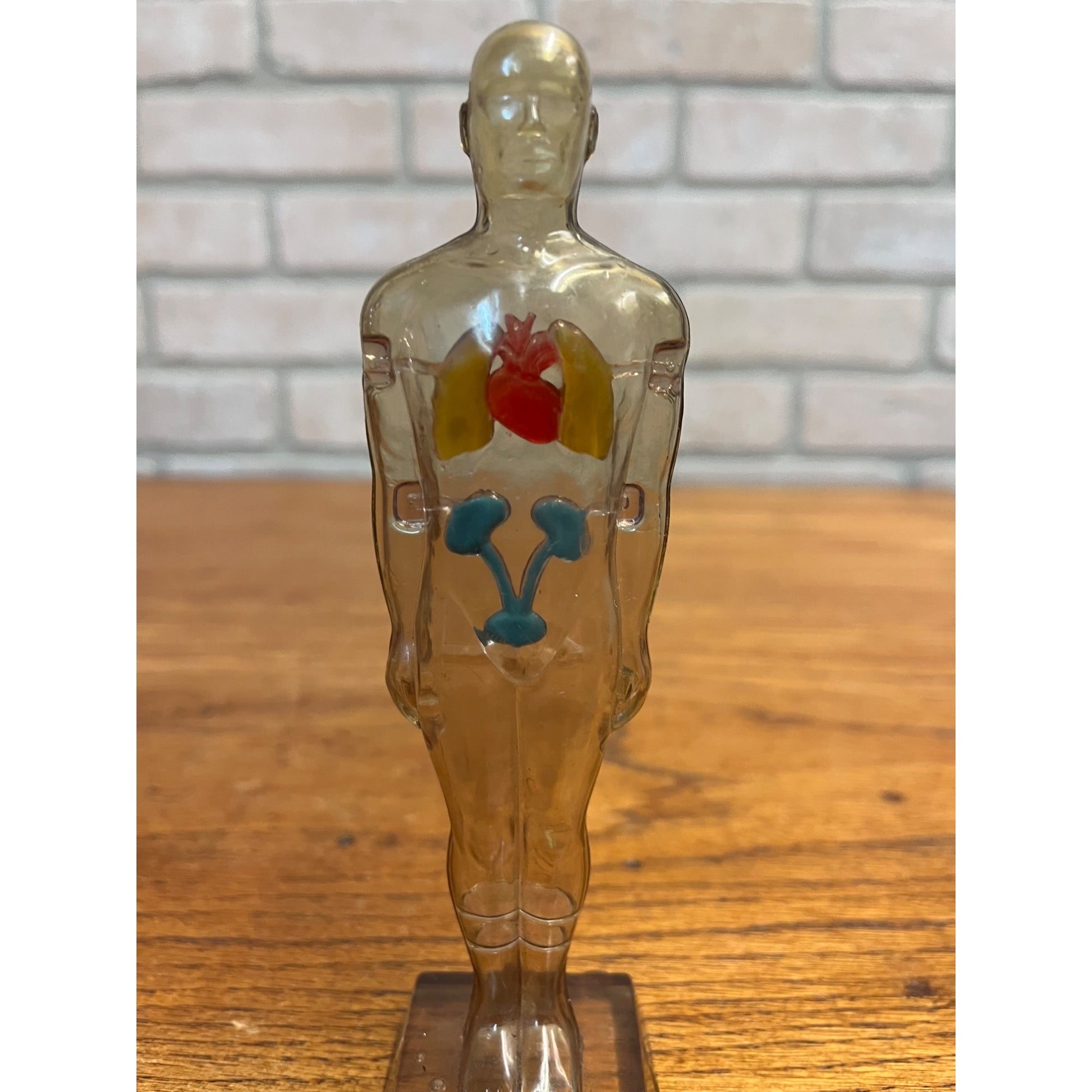 Vintage 1950s Hydro Diuril Merck Sharp Dohme Pharmaceutical Advertising Figure