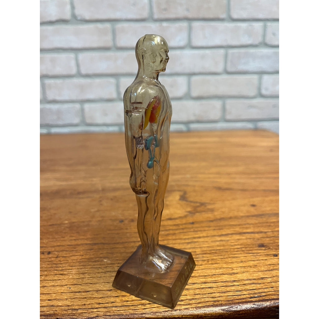 Vintage 1950s Hydro Diuril Merck Sharp Dohme Pharmaceutical Advertising Figure