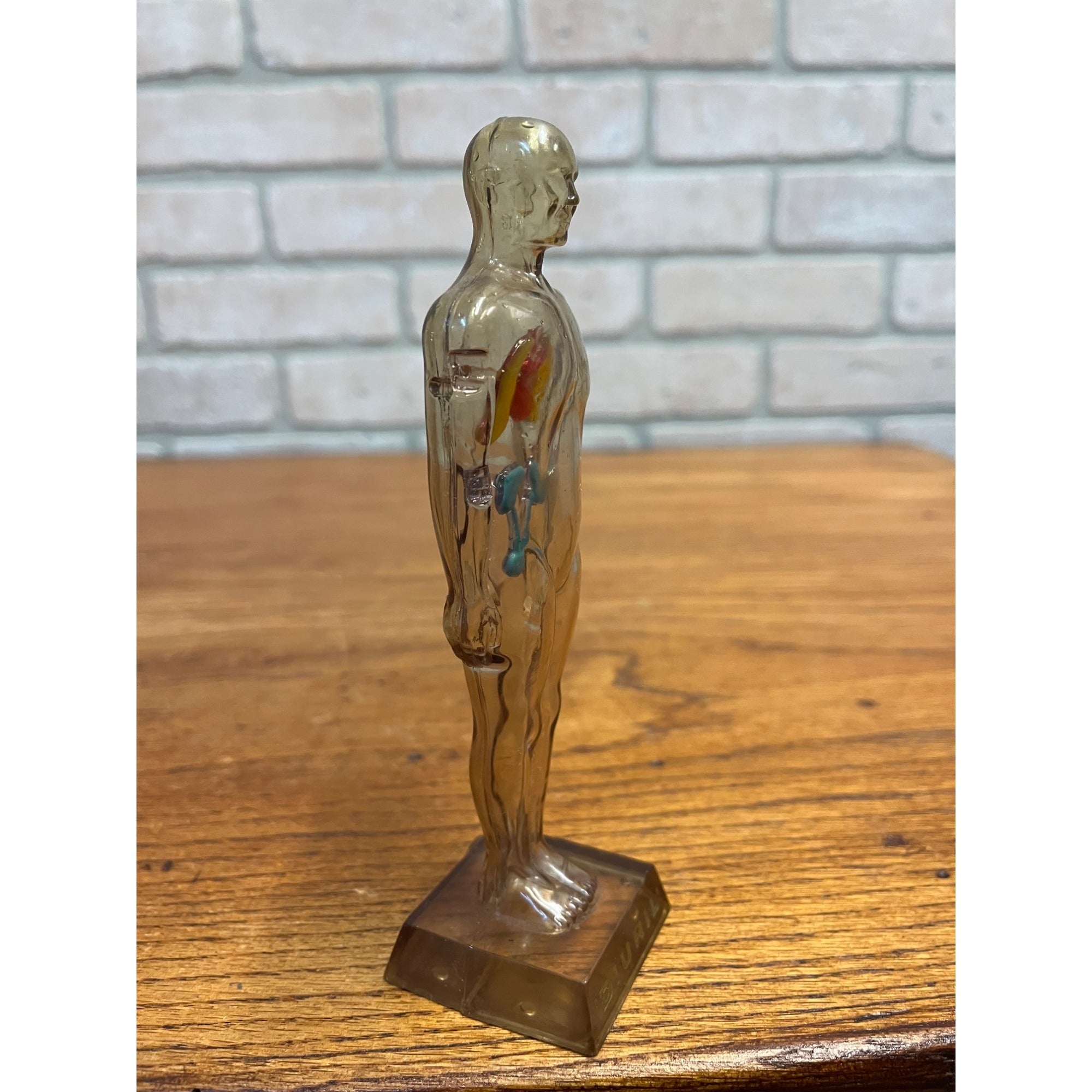 Vintage 1950s Hydro Diuril Merck Sharp Dohme Pharmaceutical Advertising Figure