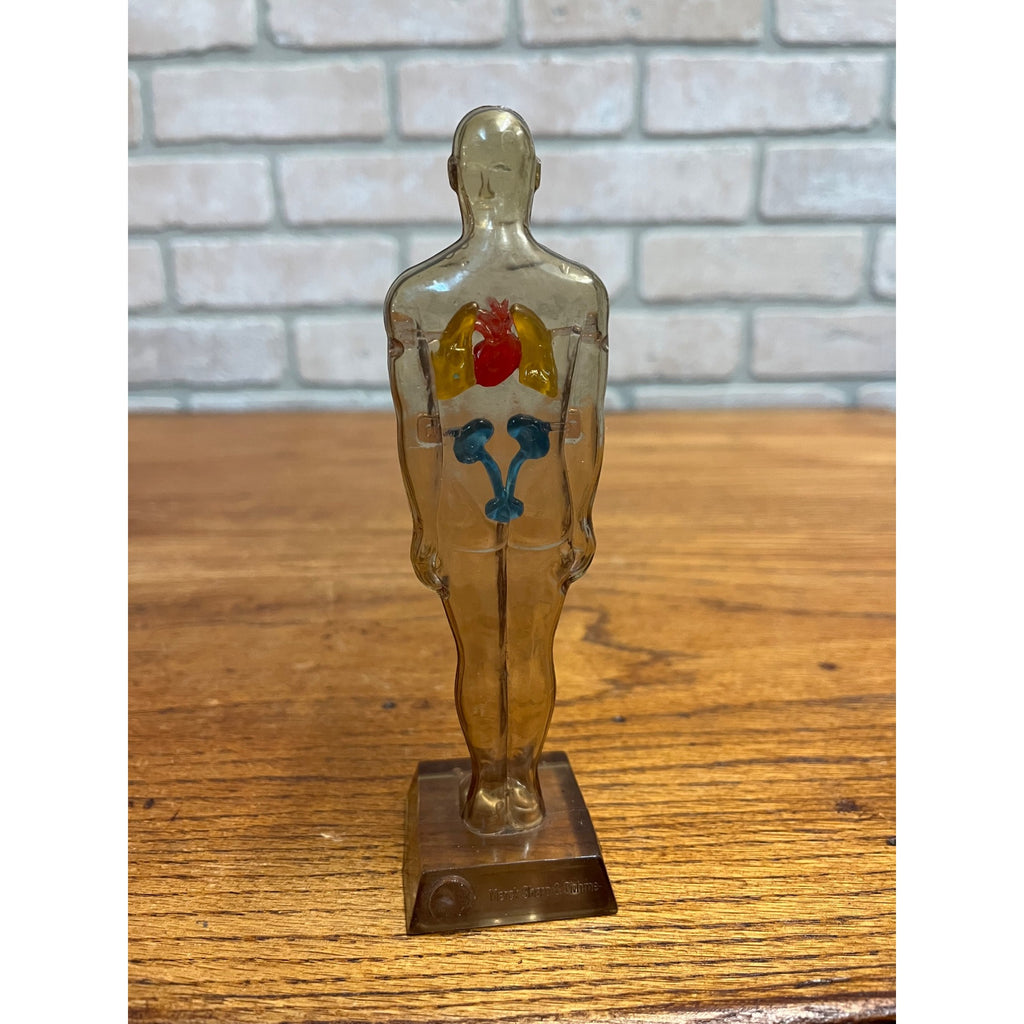 Vintage 1950s Hydro Diuril Merck Sharp Dohme Pharmaceutical Advertising Figure