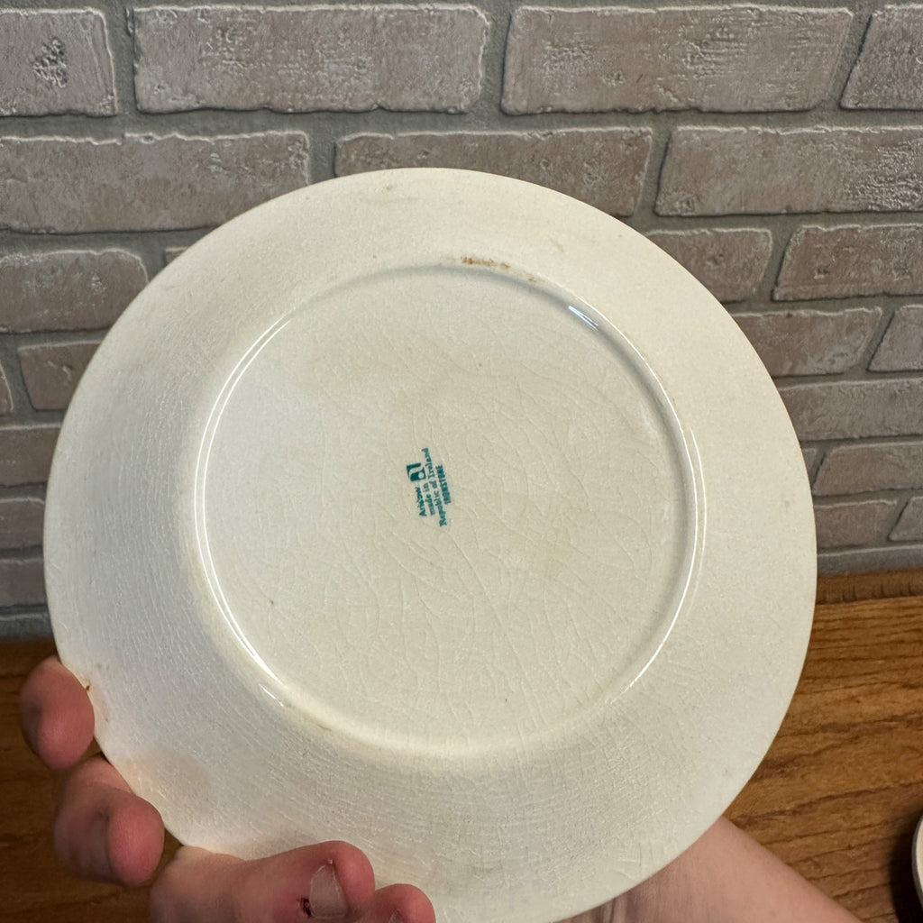 Vtg Kids Arklow Humpty Dumpty Nursery Rhyme Child’s Plate Made In Ireland 7.75”