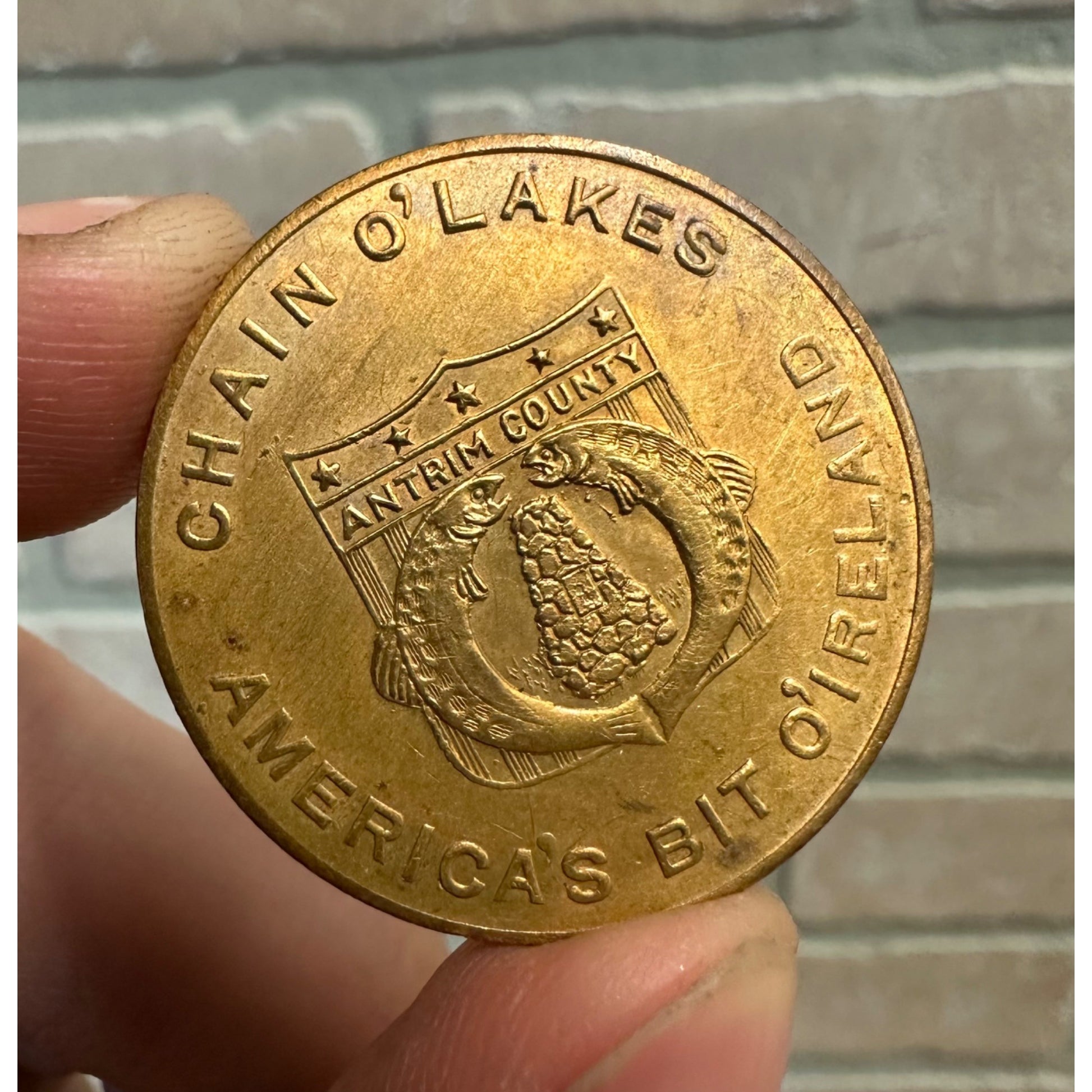 Vtg 1950's Chain O'lakes Antrim County Michigan Good Luck Token Trout Ireland