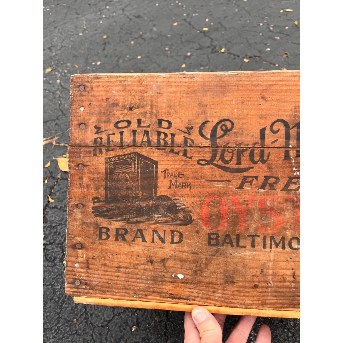 Vintage Wooden Oyster Crate Lord Mott Co Baltimore Maryland Box Old Reliable Dog