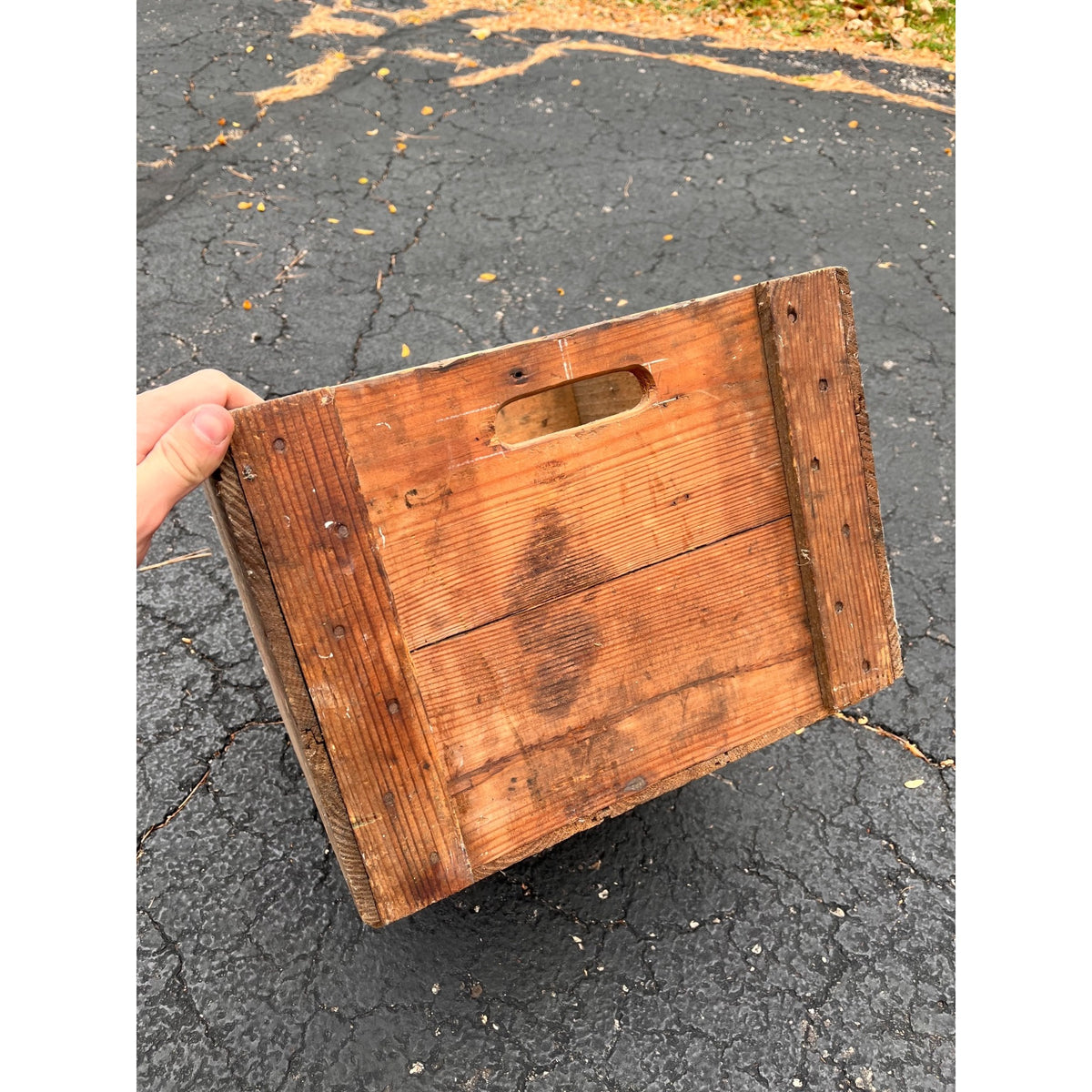 Vintage Wooden Oyster Crate Lord Mott Co Baltimore Maryland Box Old Reliable Dog