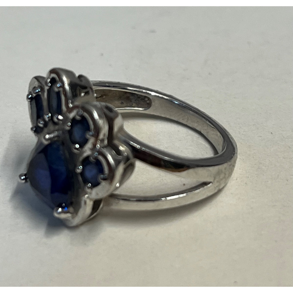 Sterling Silver Faceted Blue Spinel Dog Cat Pet Paw Ring & Necklace Pendant 6.75 Size