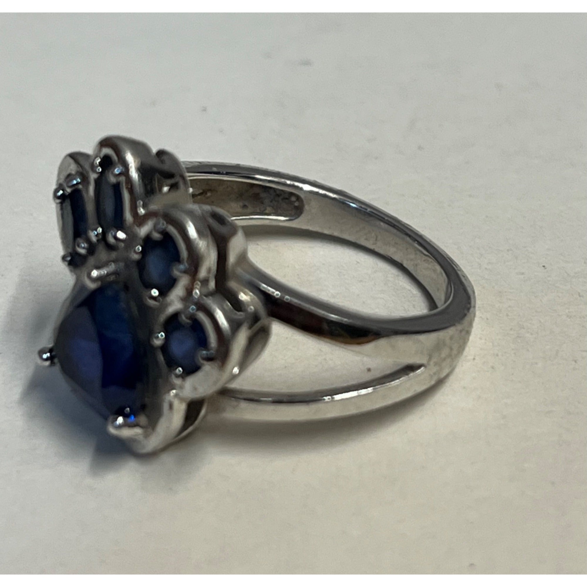 Sterling Silver Faceted Blue Spinel Dog Cat Pet Paw Ring & Necklace Pendant 6.75 Size