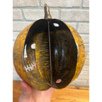 RARE Antique 1900s Halloween Jack o' Lantern JOL Toledo Parade Torch  Antique
