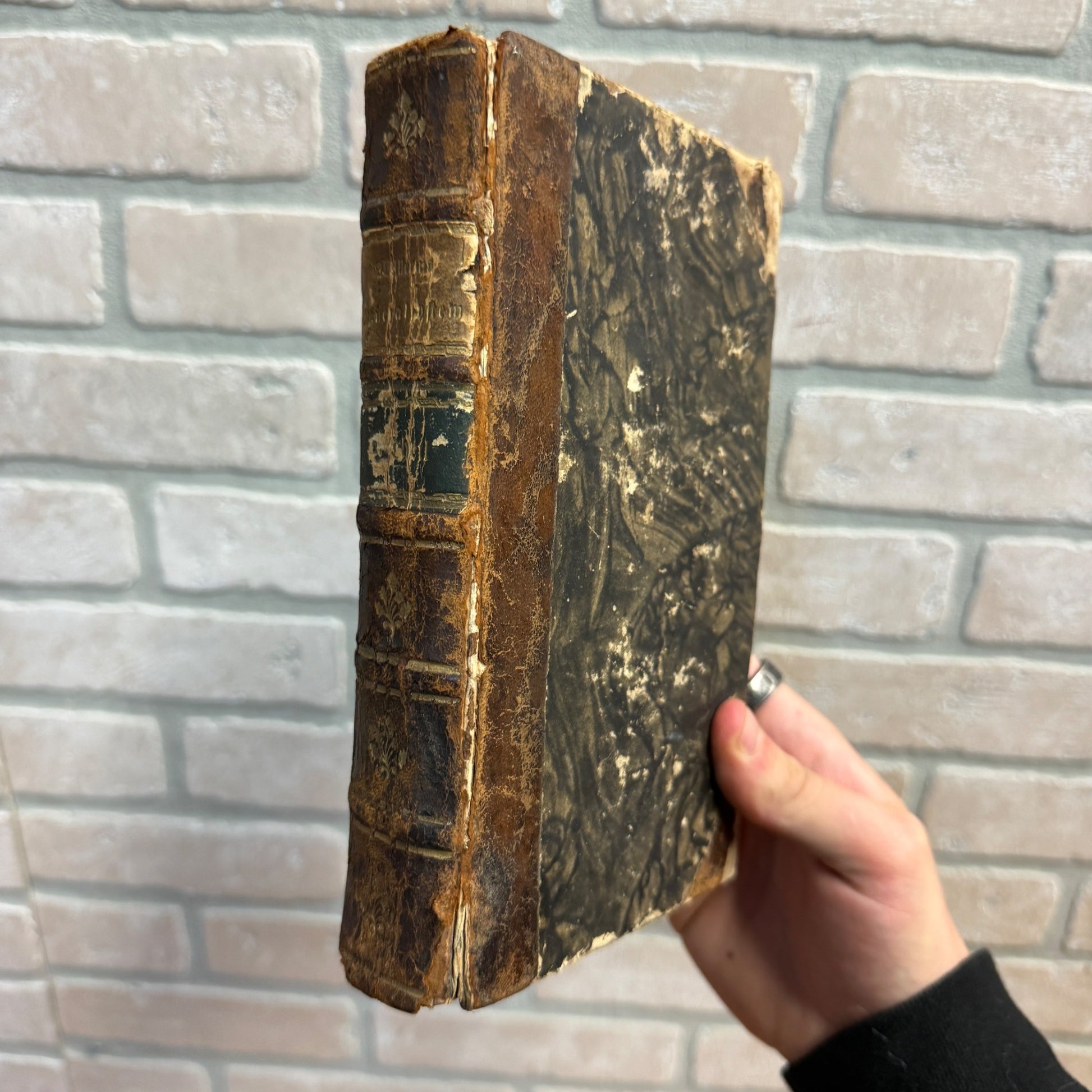 Antique 1783 Study of Minerals & Fossils Book Mineral System