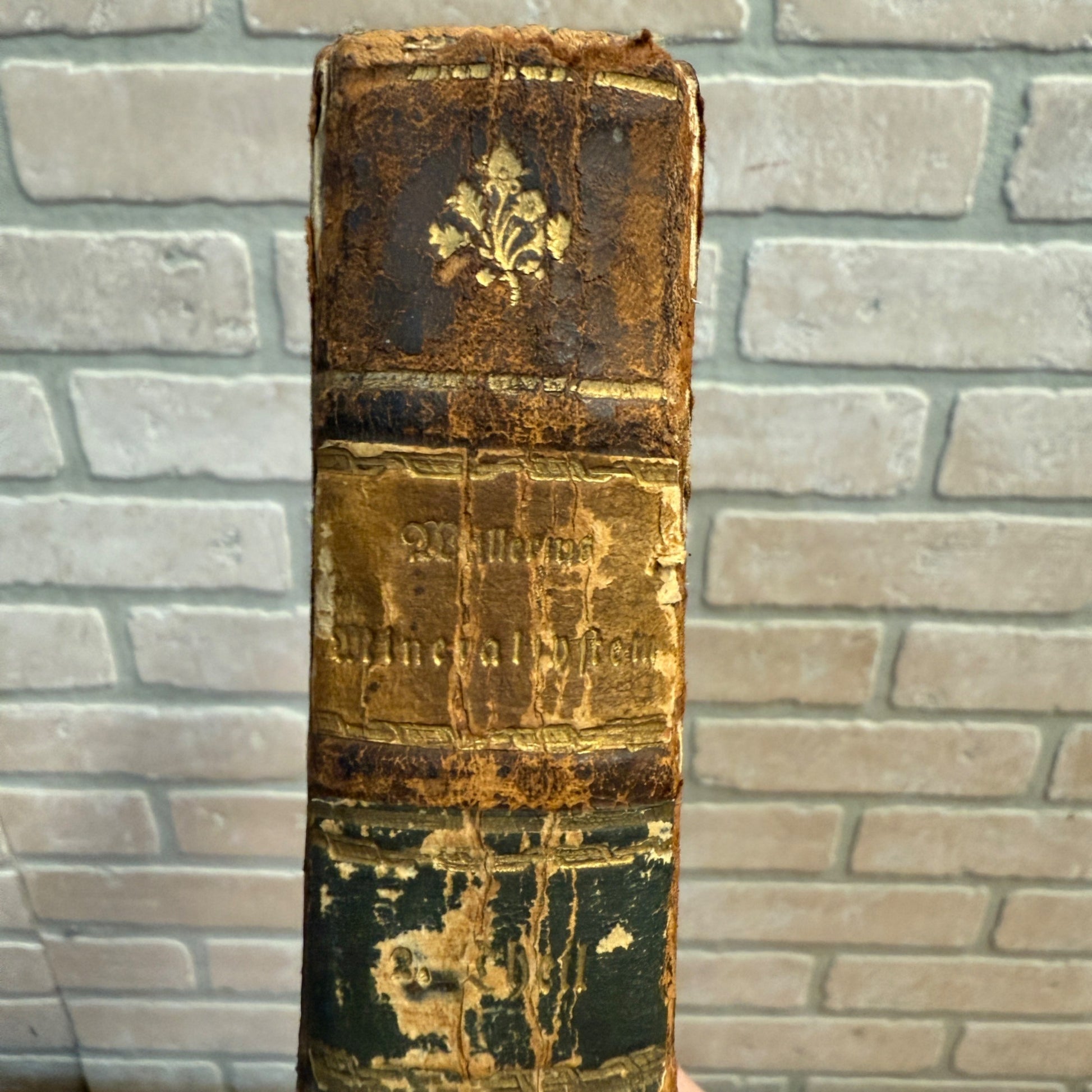Antique 1783 Study of Minerals & Fossils Book Mineral System