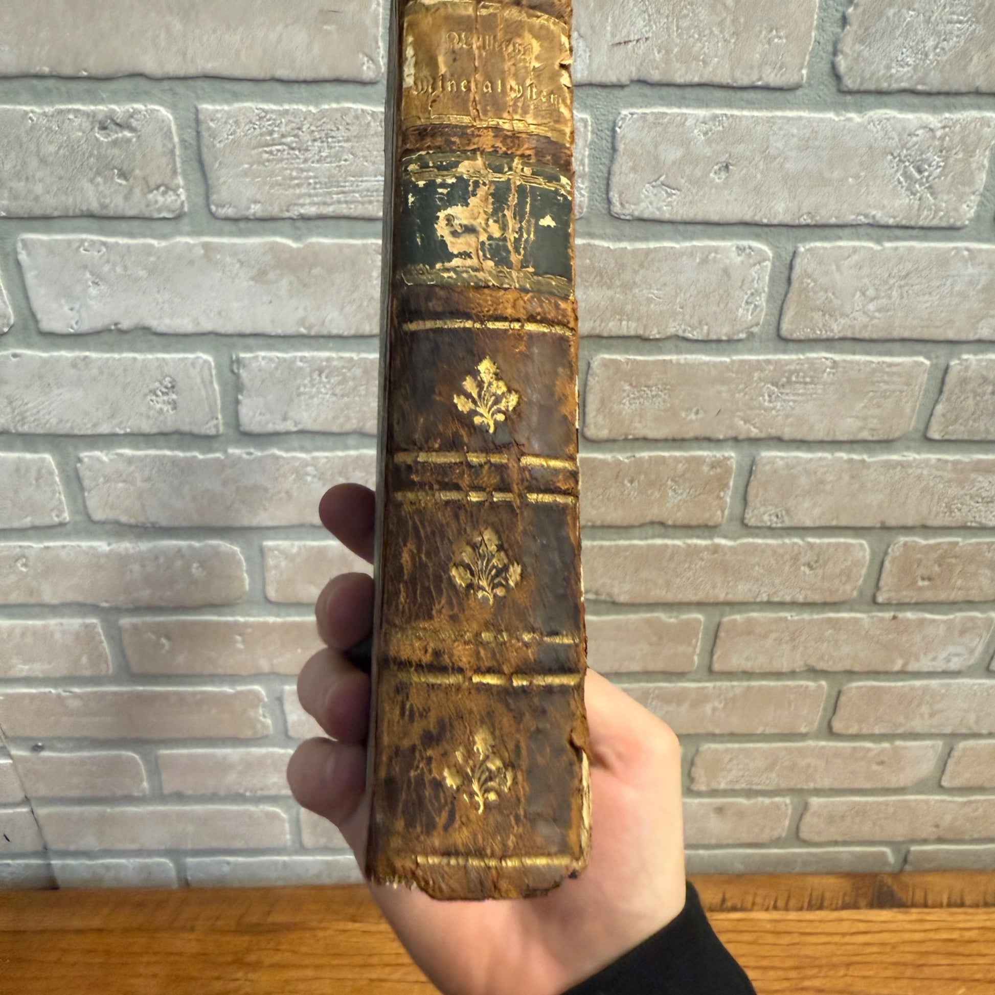 Antique 1783 Study of Minerals & Fossils Book Mineral System