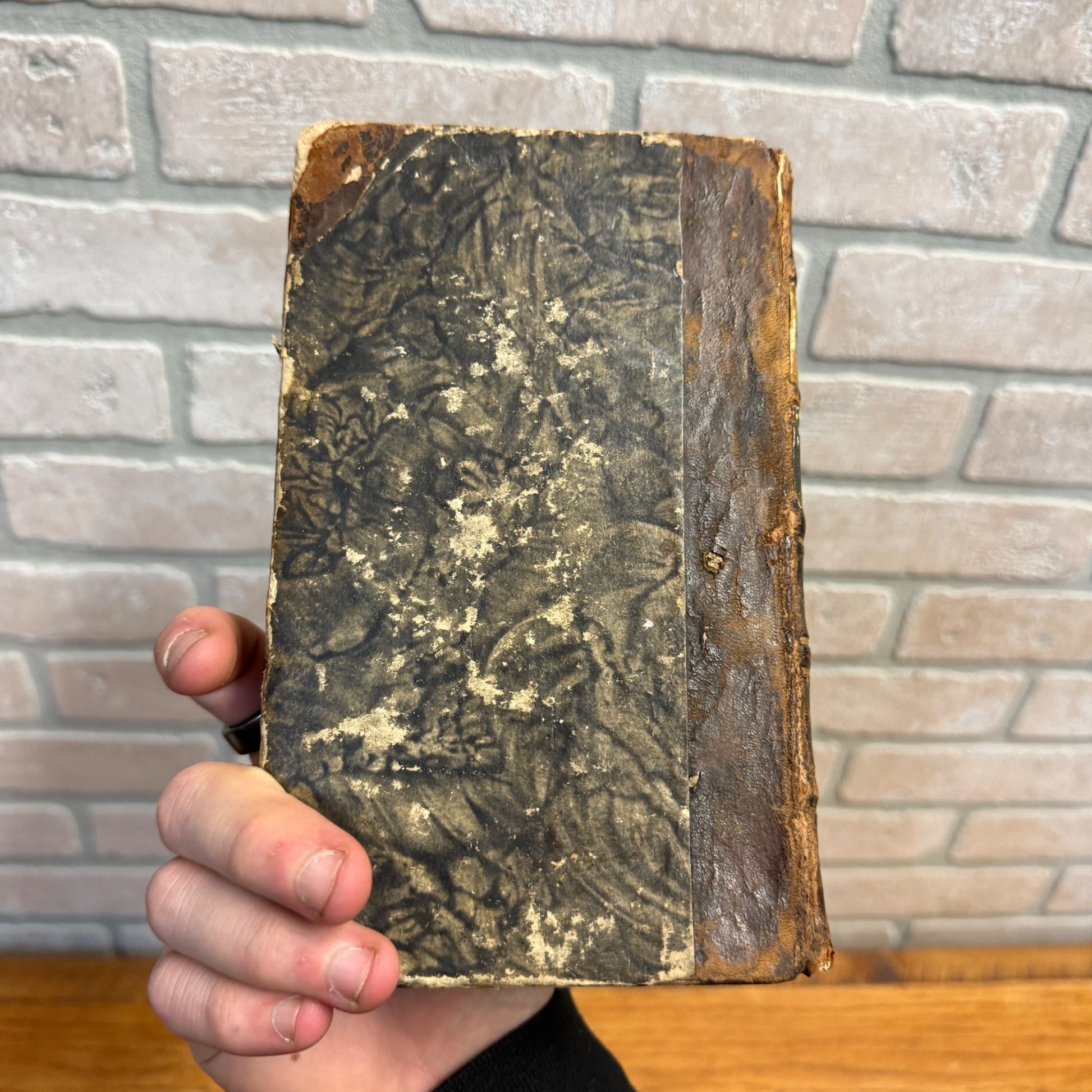 Antique 1783 Study of Minerals & Fossils Book Mineral System