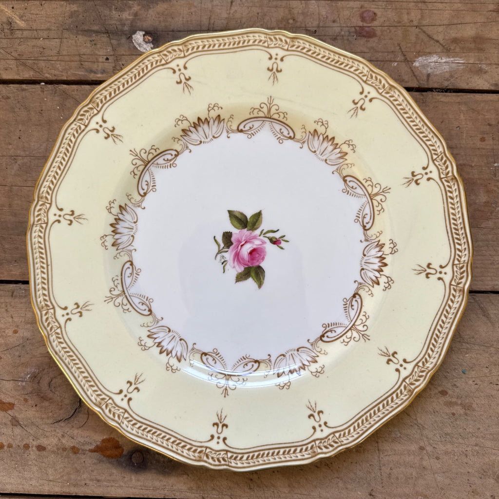 Vintage Nelson by Royal Worcester Porcelain China 10.5" Dinner Plate c1937 Gold