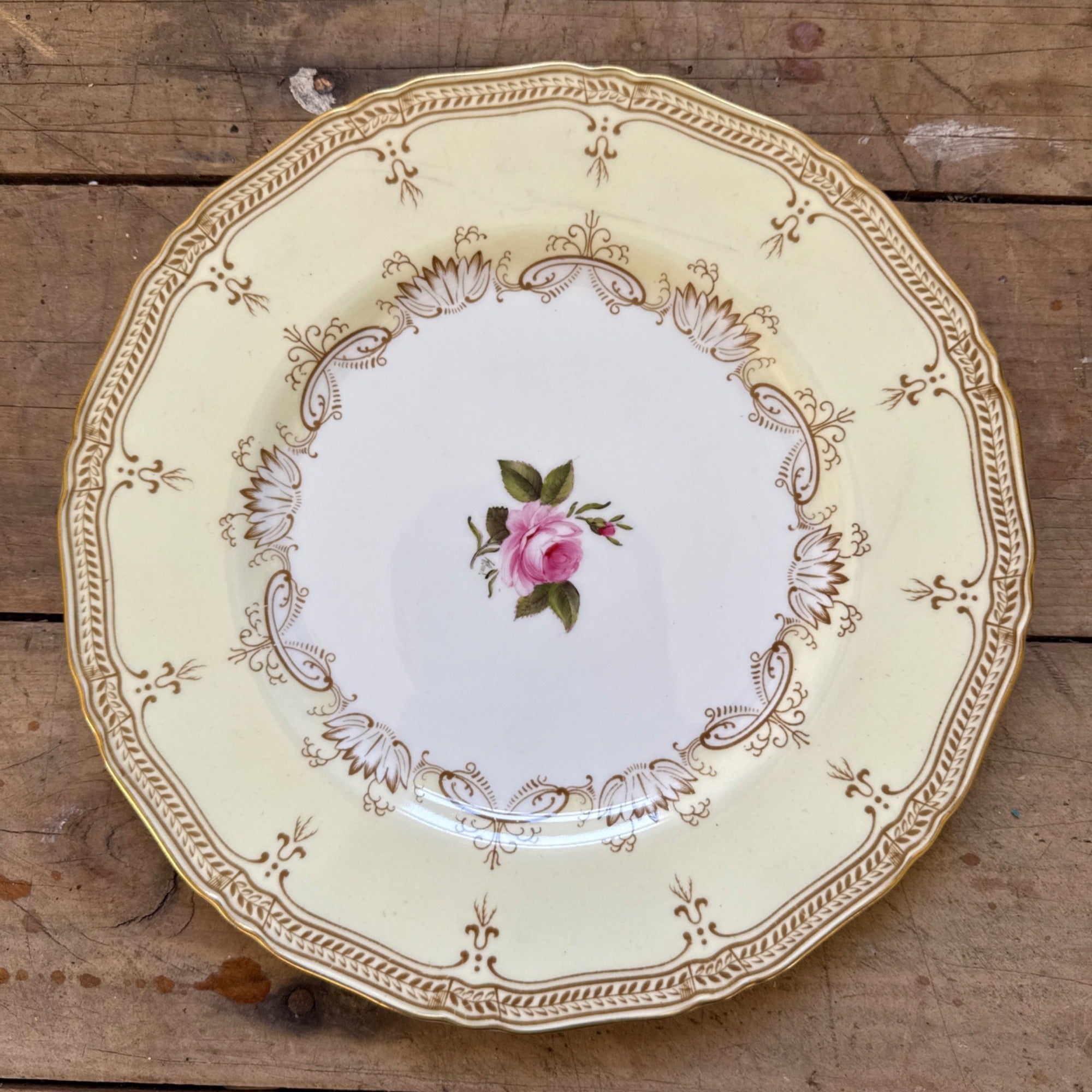 Vintage Nelson by Royal Worcester Porcelain China 10.5" Dinner Plate c1937 Gold