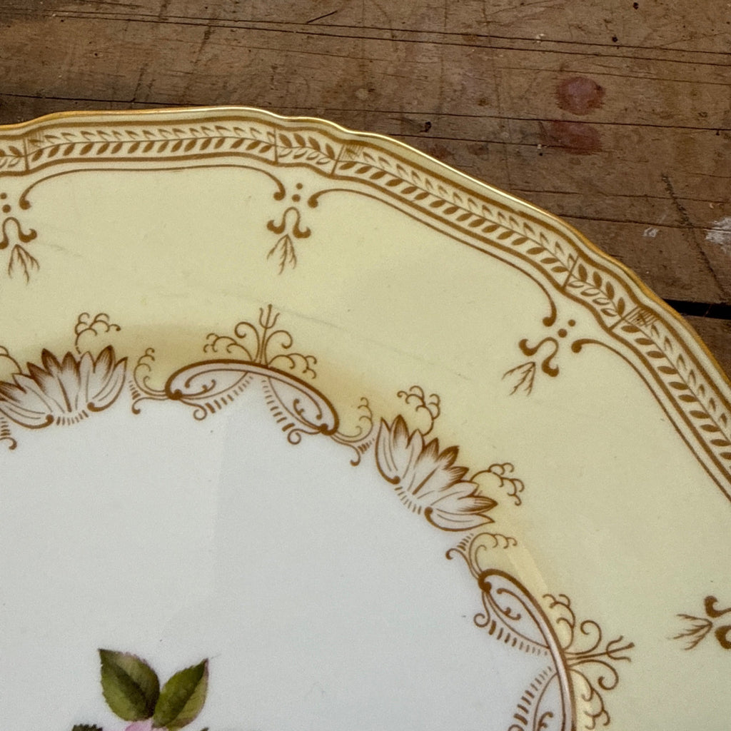 Vintage Nelson by Royal Worcester Porcelain China 10.5" Dinner Plate c1937 Gold