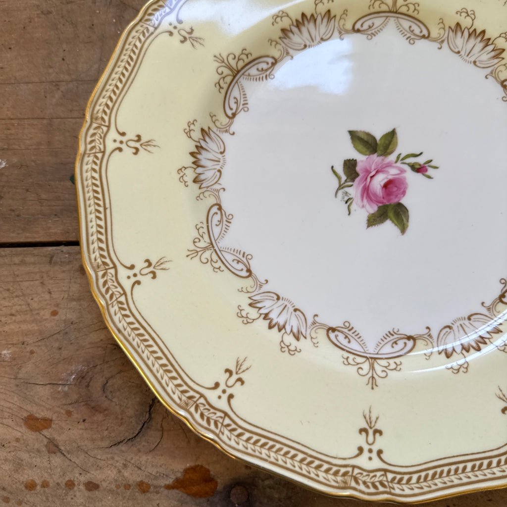 Vintage Nelson by Royal Worcester Porcelain China 10.5" Dinner Plate c1937 Gold