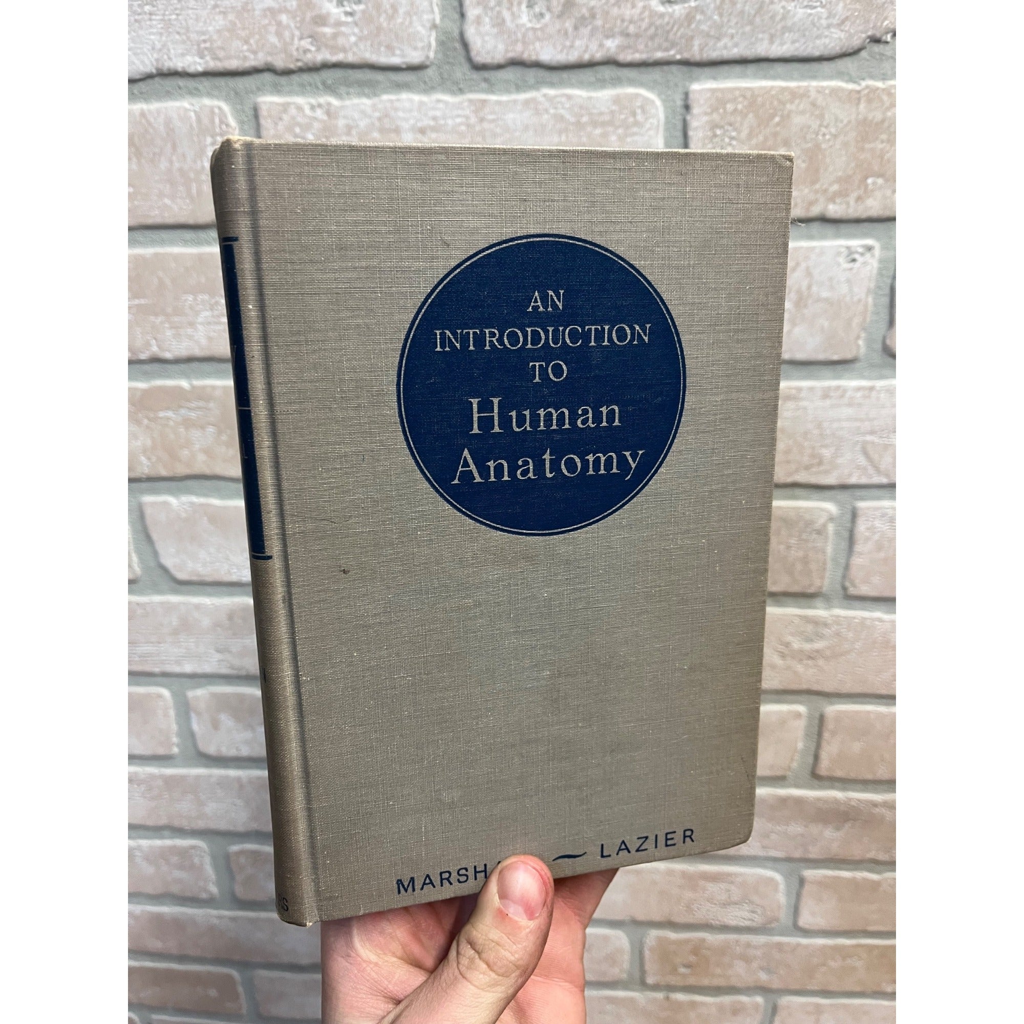Vintage 1946 Introduction to Human Anatomy - Marshall / Lazier - Book Hardcover