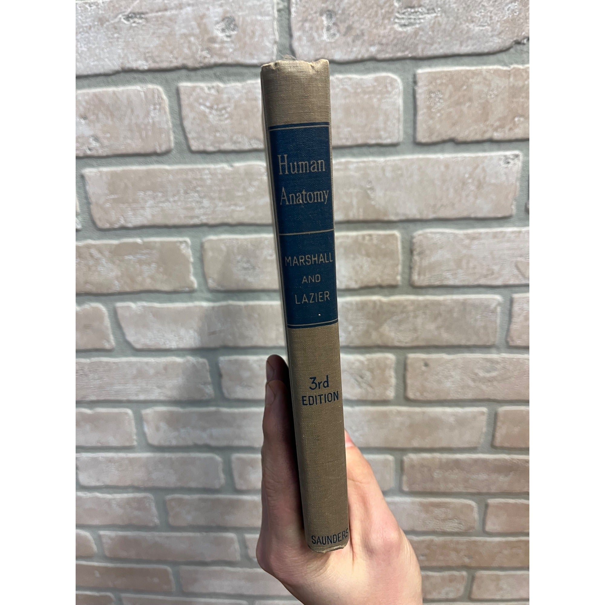 Vintage 1946 Introduction to Human Anatomy - Marshall / Lazier - Book Hardcover