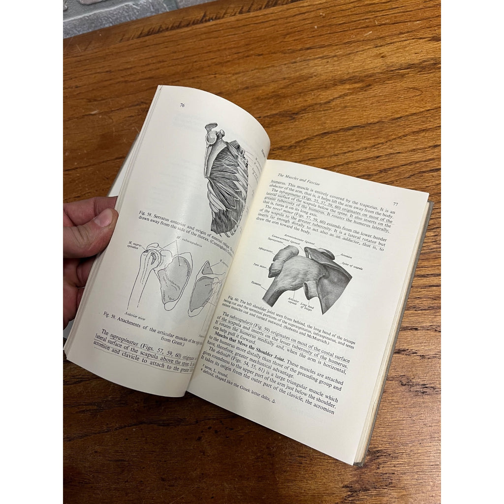 Vintage 1946 Introduction to Human Anatomy - Marshall / Lazier - Book Hardcover
