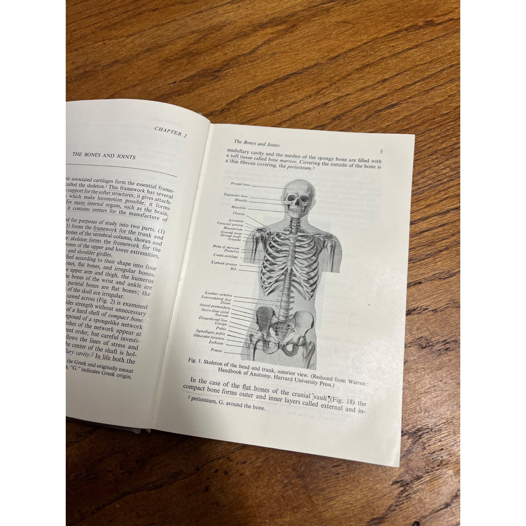 Vintage 1946 Introduction to Human Anatomy - Marshall / Lazier - Book Hardcover