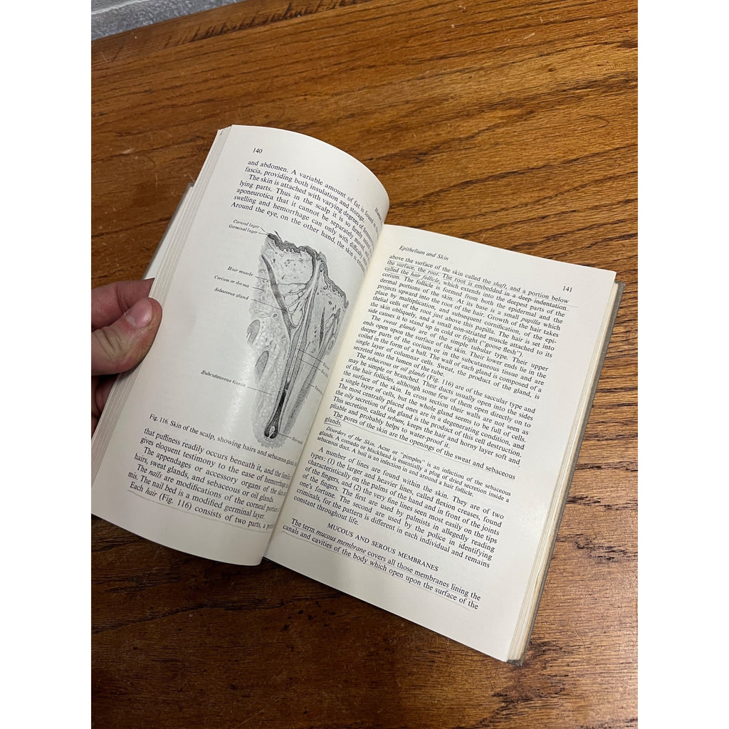 Vintage 1946 Introduction to Human Anatomy - Marshall / Lazier - Book Hardcover