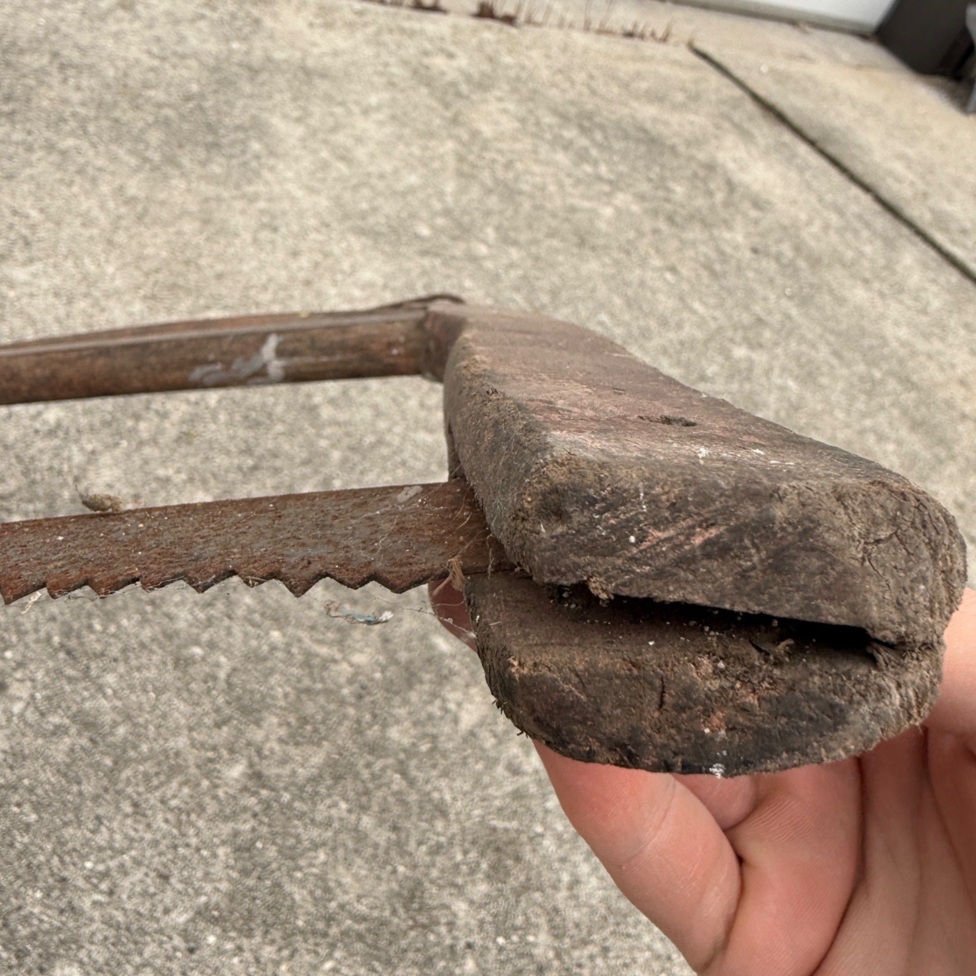 Vintage Antique Cross Cut Wood Buck / Bow Saw Rustic Cabin Decor