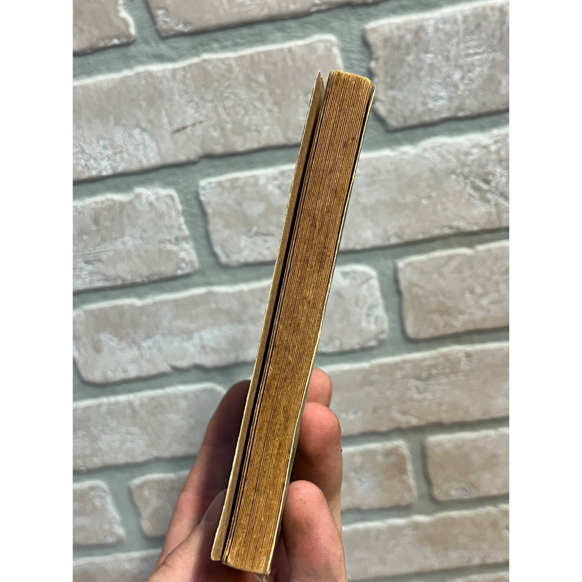 Original The Gumps in Radio Land Andy Gump Cartoon Book 1937