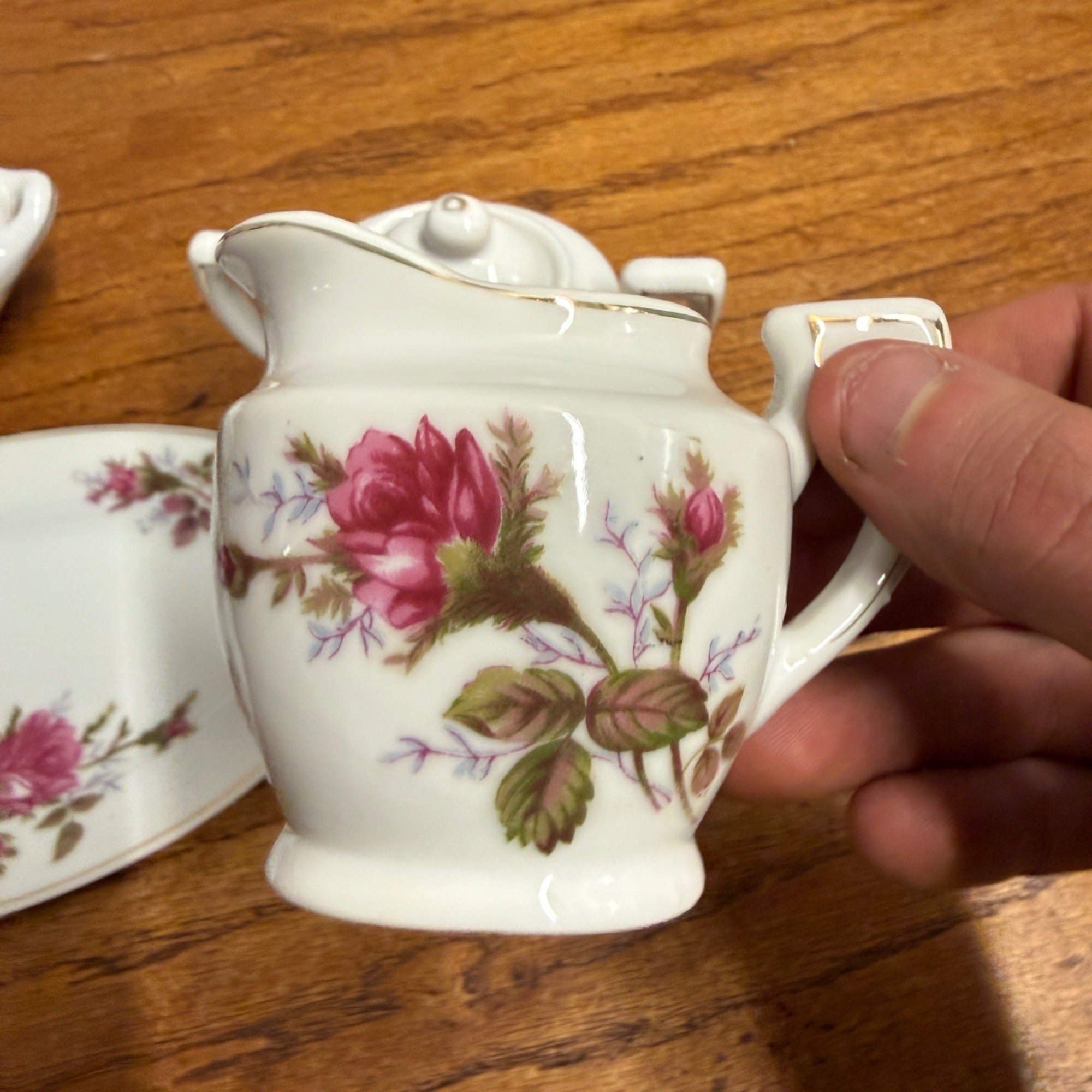 Vintage 1950s 24pc Child’s Miniature Moss Rose Tea & Dinner Set Japan W/ Box