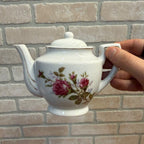 Vintage 1950s 24pc Child’s Miniature Moss Rose Tea & Dinner Set Japan W/ Box