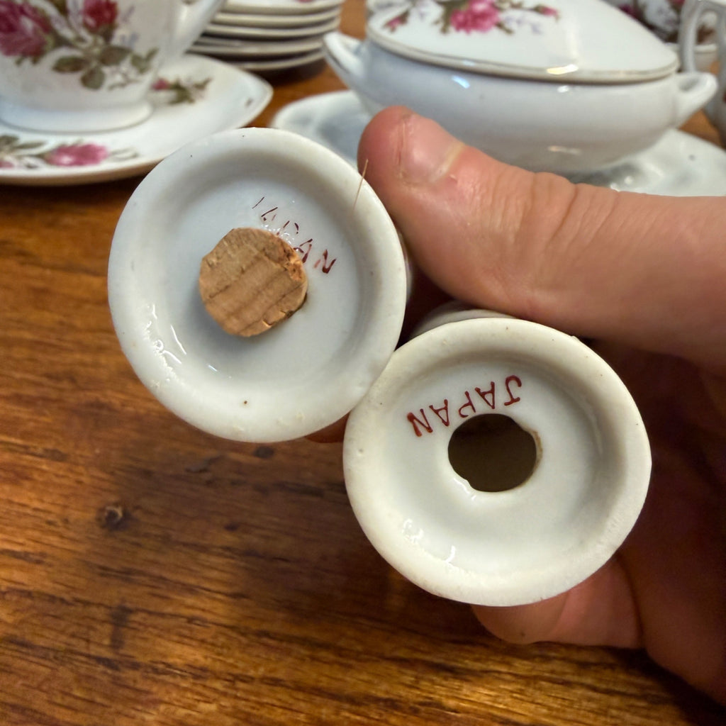 Vintage 1950s 24pc Child’s Miniature Moss Rose Tea & Dinner Set Japan W/ Box