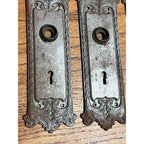 Antique Victorian Ornate Cast Iron Door Back Plates Skeleton Key Set of 3