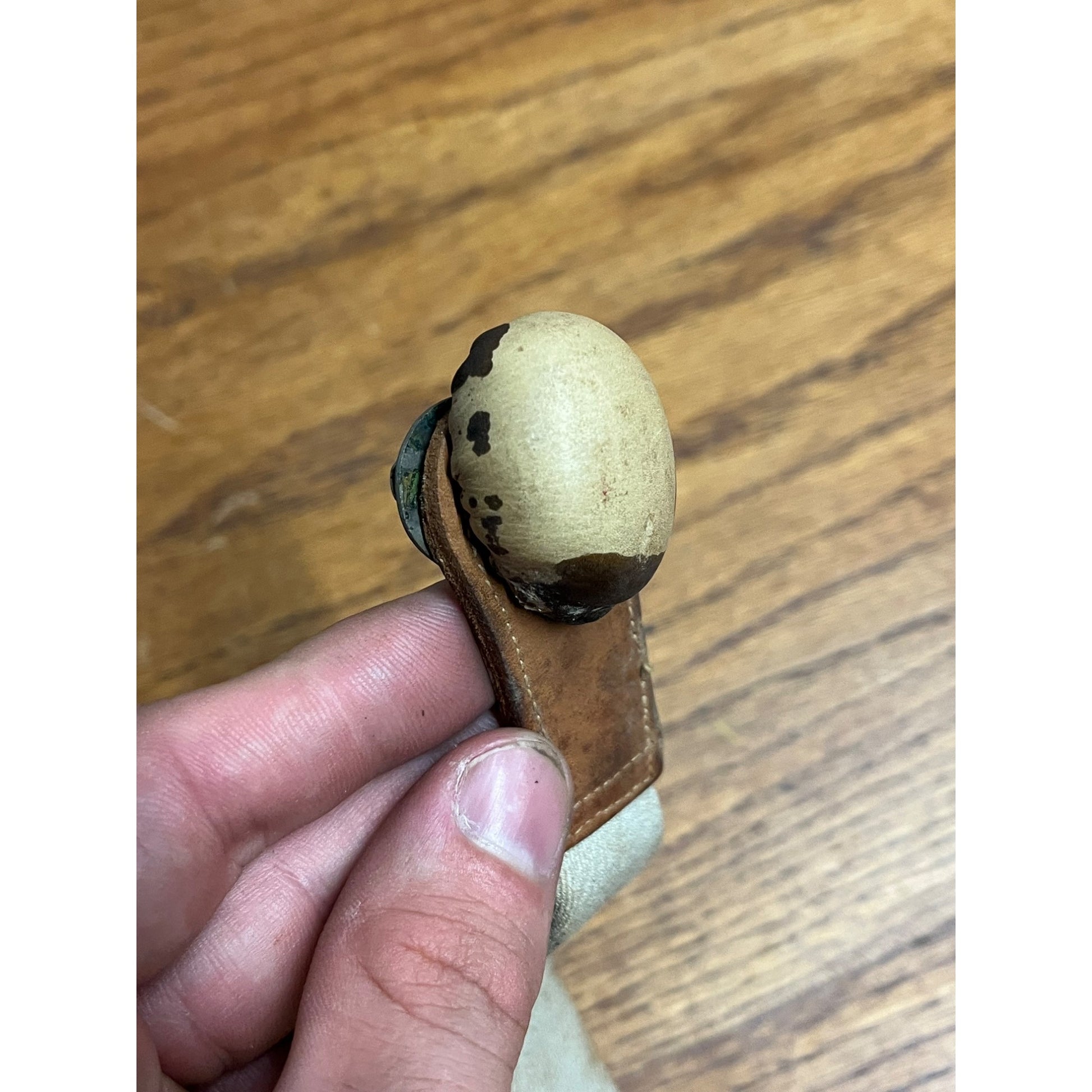 Vintage Ohio Truss Co Hernia Excelsior Spot Pad Medical Device Oddity w/ Box