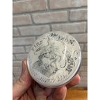 1882 Amazon Fire Insurance Cincinnati Advertising Paperweight