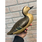 Vintage Art Bergman Pair Blue-Winged Teal Wooden Duck Decoys Van Dyne WI Wis