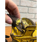 Original 1895 Dent Arcade Cast Iron Toy Horse-Drawn Transfer Freight Wagon 17"