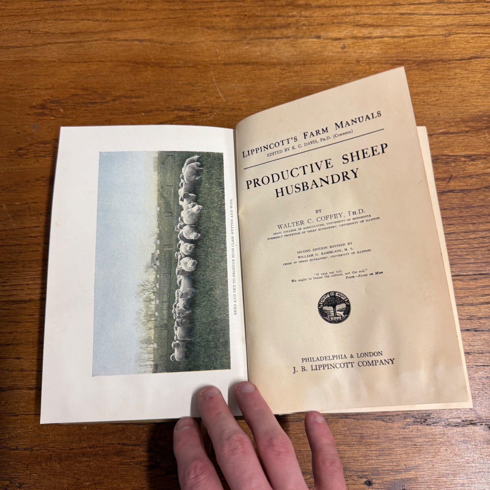 Lippincott’s Farm Manuals Productive Sheep Husbandry WC Coffey 1929 Book Farming
