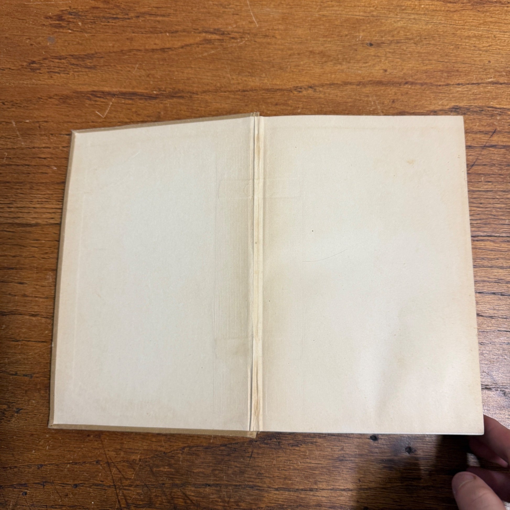 Lippincott’s Farm Manuals Productive Sheep Husbandry WC Coffey 1929 Book Farming