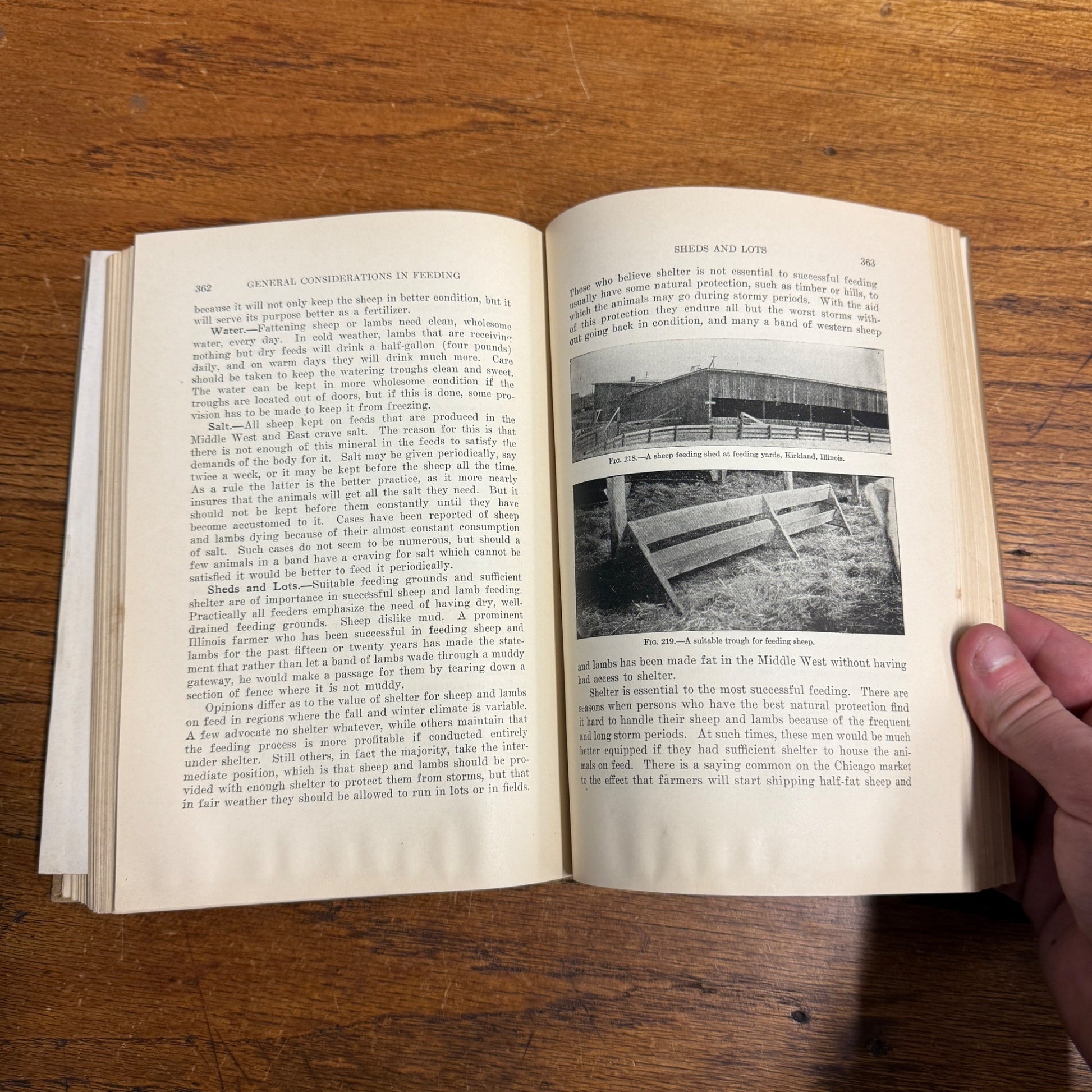 Lippincott’s Farm Manuals Productive Sheep Husbandry WC Coffey 1929 Book Farming