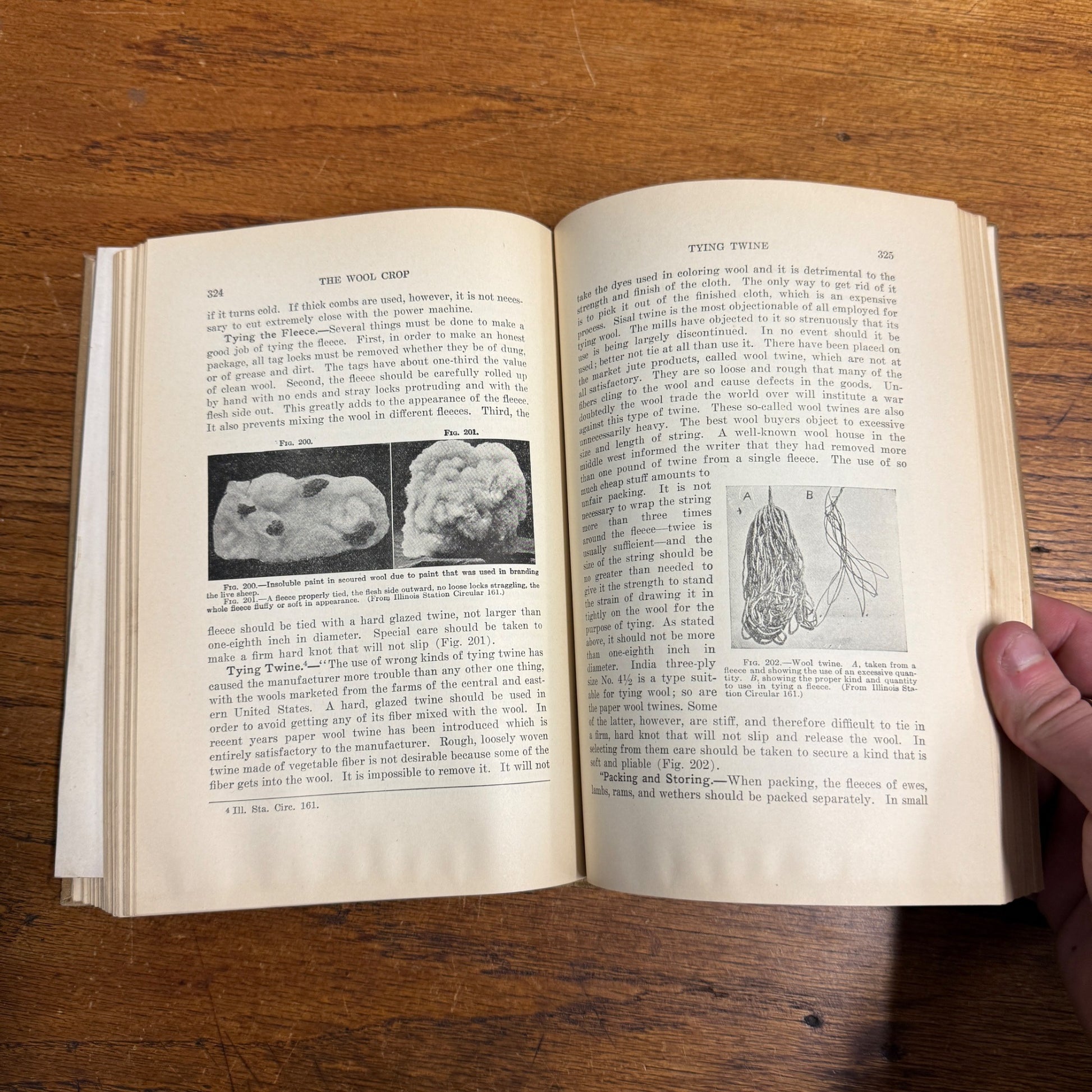 Lippincott’s Farm Manuals Productive Sheep Husbandry WC Coffey 1929 Book Farming