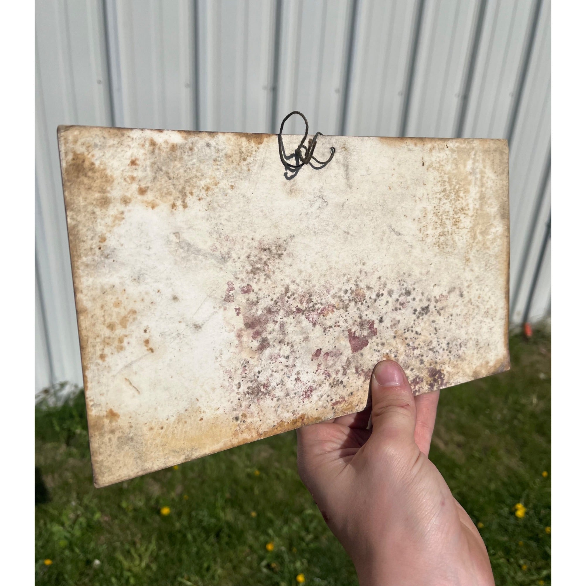 RARE Vintage 1920s Prohibition Adam Scheidt Brewing Co. Double Stout Sign