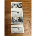 Red Arrow Lodge Tomahawk Wisconsin  Postcard Cabin Lake Lot RPPC