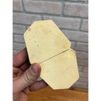 Vintage Plaster Dental Mold Human Teeth Anatomy Medical Dentist Oddities