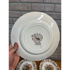 Vintage Windsor Ware Glazed Wild Turkey Dinner Plates Set of Four (4) Johnson Bros. England Thanksgiving