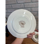 Vintage Windsor Ware Glazed Wild Turkey Dinner Plates Set of Four (4) Johnson Bros. England Thanksgiving