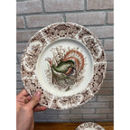 Vintage Windsor Ware Glazed Wild Turkey Dinner Plates Set of Four (4) Johnson Bros. England Thanksgiving