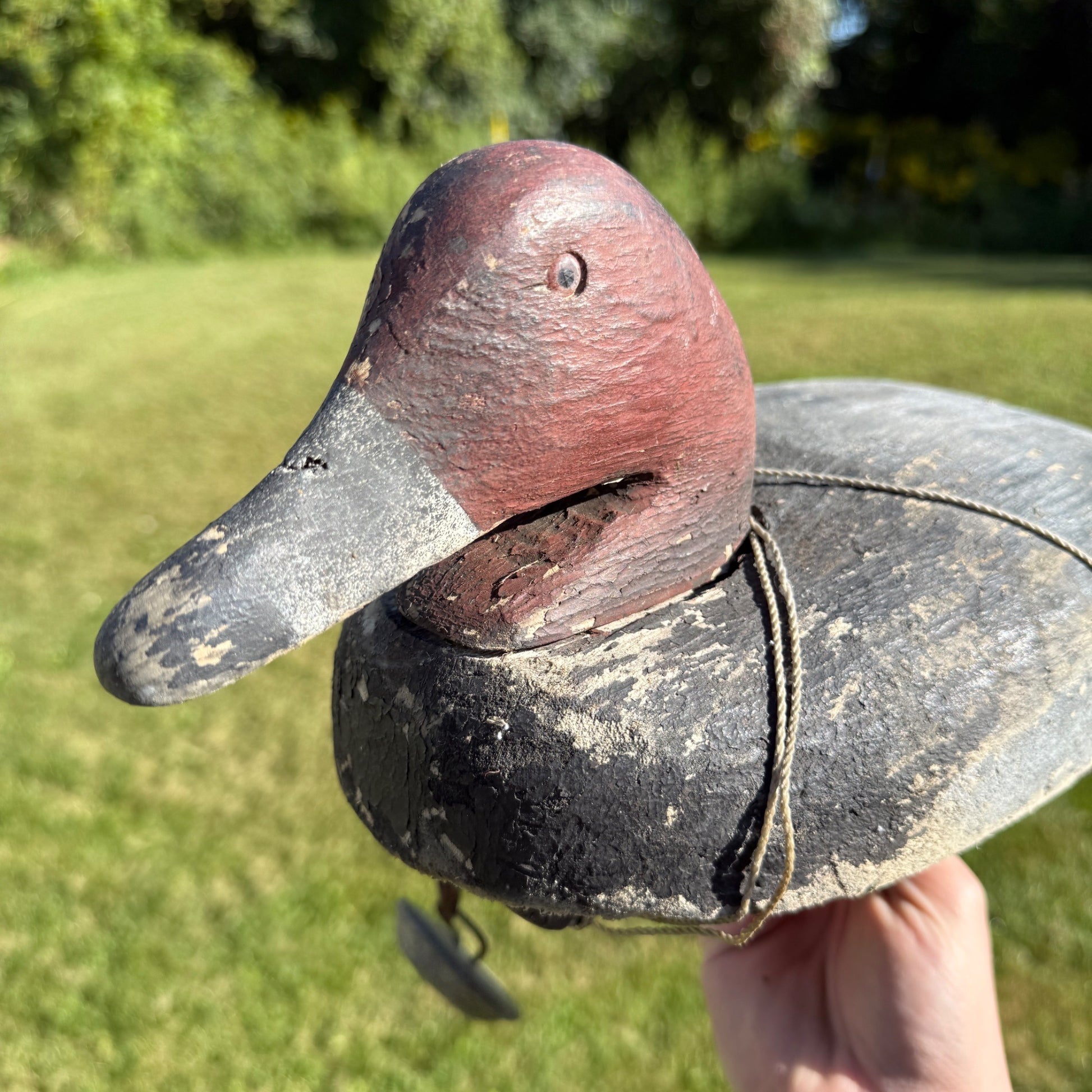 Nice Pair 1940s Rigged Balsa Herters Canvasback Wooden Duck Decoy Hen & Drake