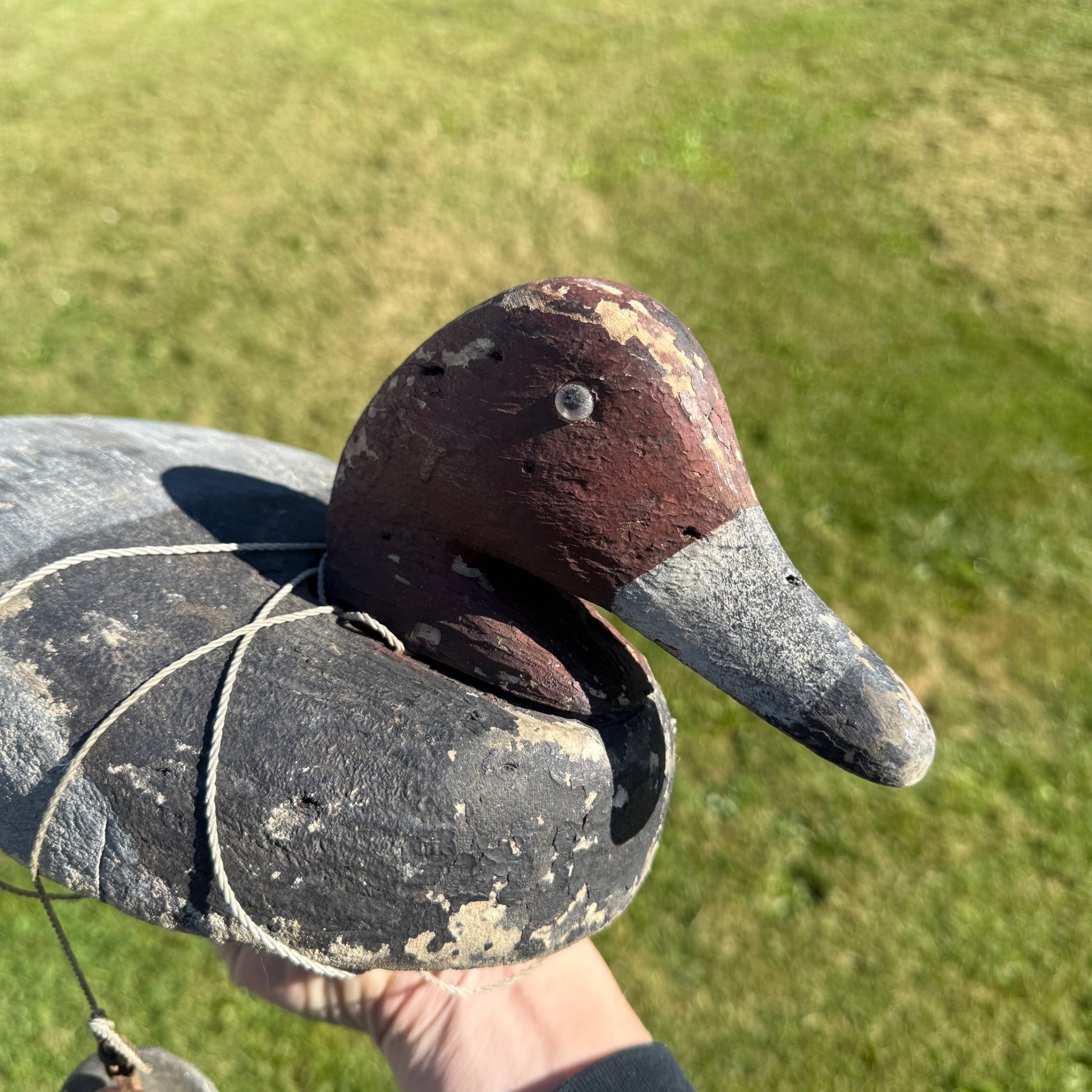 Nice Pair 1940s Rigged Balsa Herters Canvasback Wooden Duck Decoy Hen & Drake