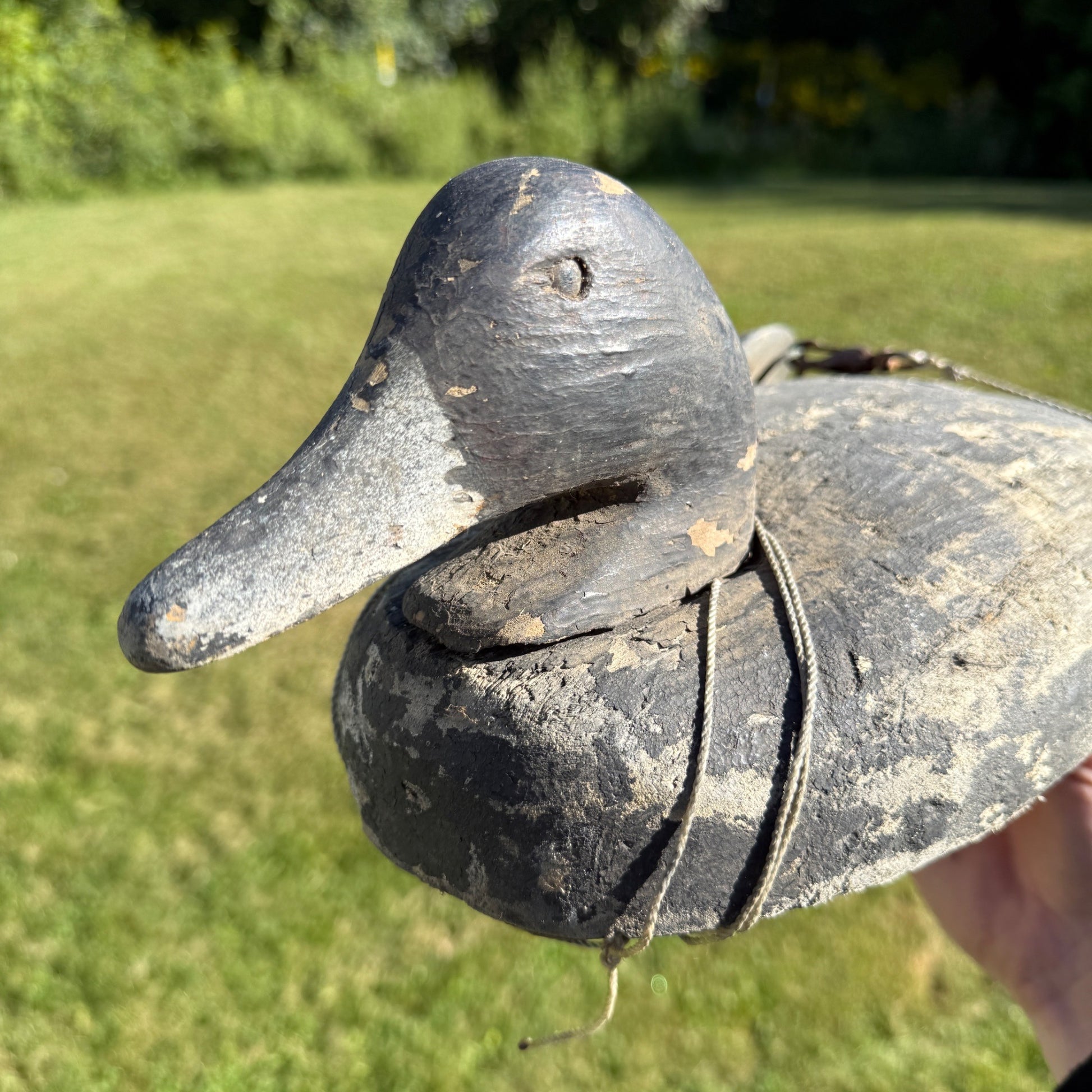 Nice Pair 1940s Rigged Balsa Herters Canvasback Wooden Duck Decoy Hen & Drake