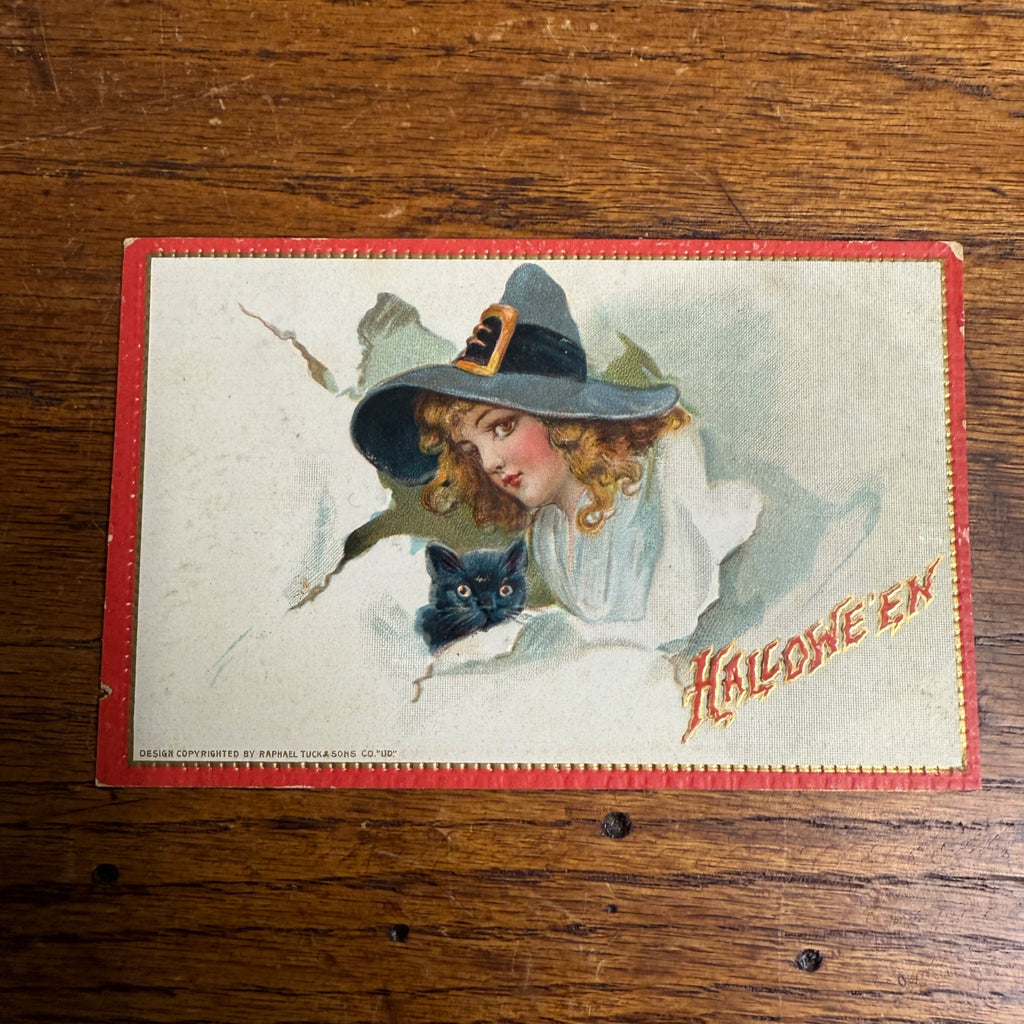Halloween Pretty Witch with Black Cat Tuck Series 174 by Brundage Postcard