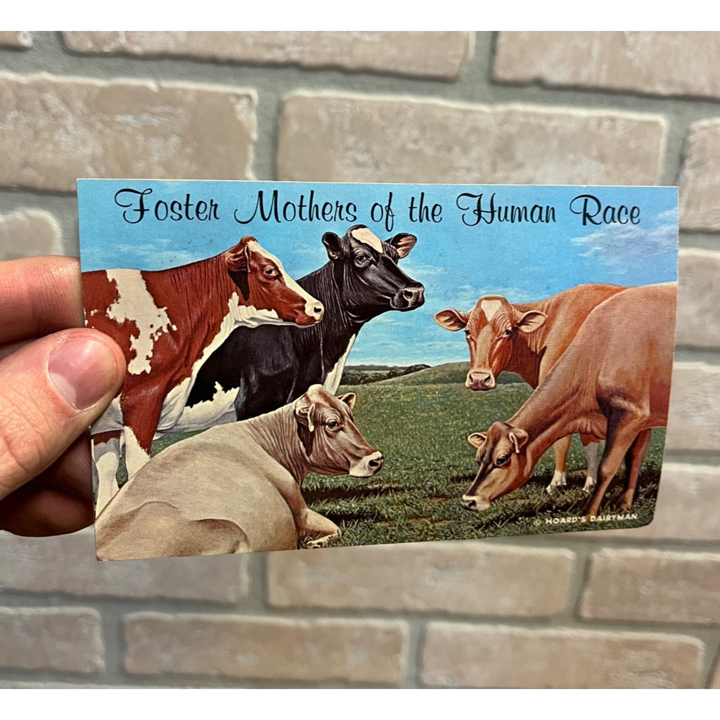 The Five Dairy Queen's "Foster Mothers of Human Race" Hoard's Dairyman Postcard