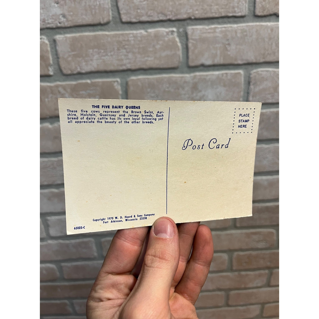 The Five Dairy Queen's "Foster Mothers of Human Race" Hoard's Dairyman Postcard
